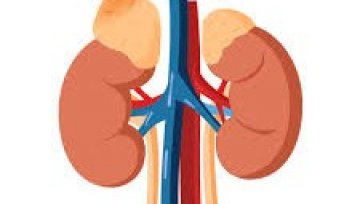 Living with Suprarenal Cortex Diseases: Understanding the Condition and Ways to Manage It